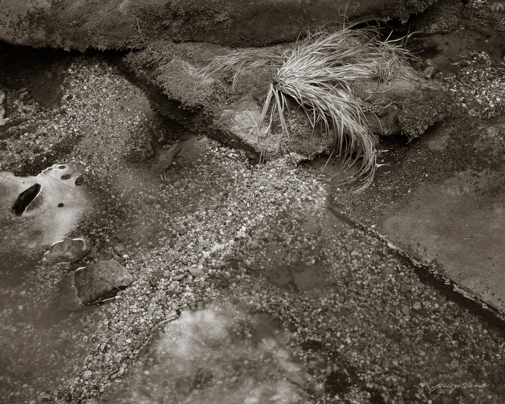 River Grass, Shay Run